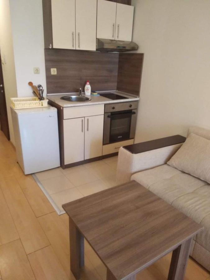Nessebur, South Beach, Private Studio, Larisa Nesebar Buitenkant foto